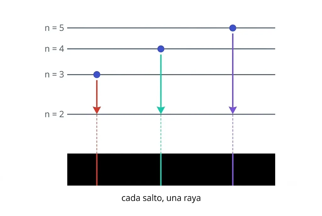 Cada caída del electrón entre dos niveles libera una energía exacta: un color exacto. Cada salto, una raya.