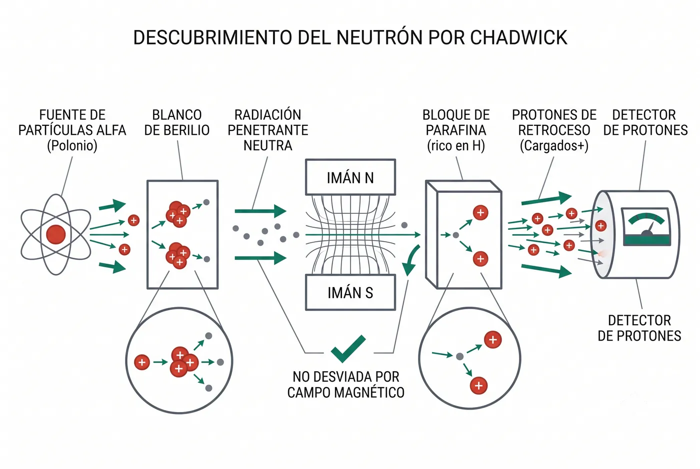 El montaje de Chadwick: el berilio suelta una radiación neutra (no la desvía el imán) que arranca protones de la parafina; midiendo su retroceso dedujo la masa del neutrón
