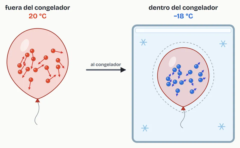 El mismo globo fuera del congelador, a 20 °C, y dentro, a −18 °C. Dentro siguen las mismas partículas, pero se mueven más despacio, empujan menos la goma y el globo se encoge (a trazos, el tamaño que tenía fuera). En el dibujo los cambios están exagerados para que se vean: de 20 °C a −18 °C, el volumen baja un 13 % y la rapidez media de las partículas, un 7 %
