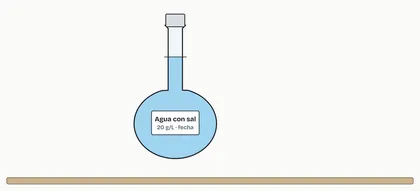 Paso 8: Etiquetar