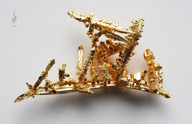 Oro puro cristalizado (la barrita de escala mide 2 mm). Dorado por sí mismo: se queda parte del azul de la luz y devuelve el resto.
