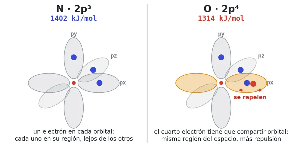 Los tres orbitales 2p. En el nitrógeno, un electrón en cada uno; en el oxígeno, el cuarto comparte el px con otro y se repelen