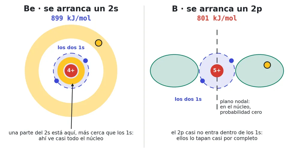 El 2s tiene una pequeña parte muy cerca del núcleo, dentro de los 1s, y ahí siente casi toda la carga. El 2p tiene un plano nodal que pasa por el núcleo, casi no entra y los 1s lo tapan