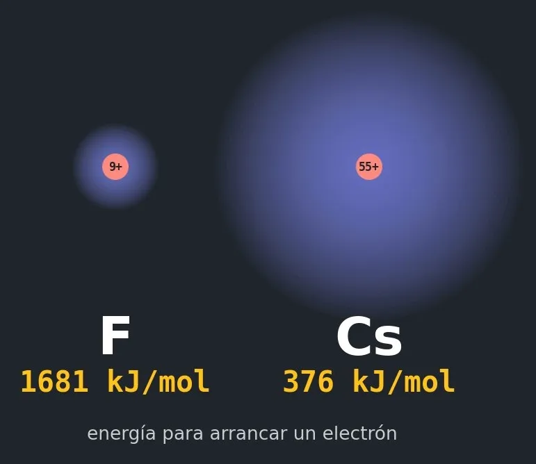 El flúor y el cesio a escala, con la energía que cuesta arrancarles un electrón (NIST): el flúor, con 46 protones menos, atrae sus electrones de valencia con mucha más fuerza