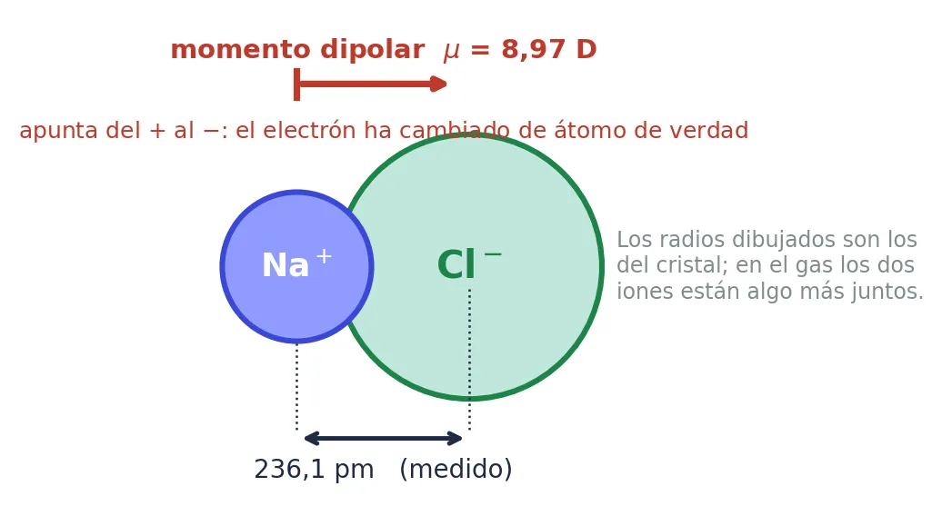 La pareja NaCl del vapor de la sal, a escala: sus centros están a 236,1 pm y su momento dipolar es de 8,97 D