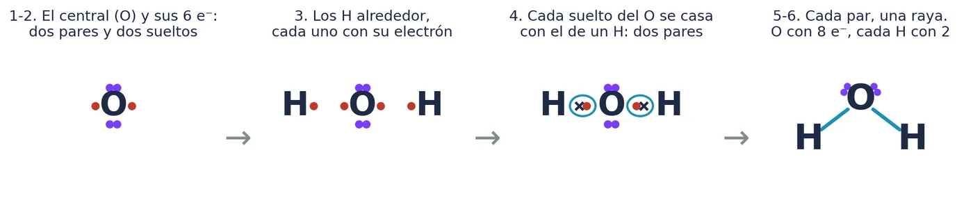 El agua, paso a paso: el O con sus seis electrones, los H alrededor con el suyo, cada electrón desapareado del O emparejado con el de un H y, al final, cada par compartido como una raya