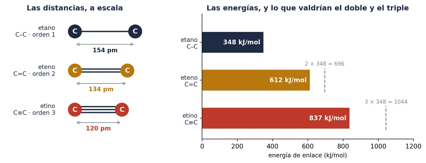 A la izquierda, los tres enlaces C–C con la distancia entre los núcleos a escala. A la derecha, sus energías, con lo que valdrían el doble y el triple del sencillo: el doble y el triple reales se quedan por debajo
