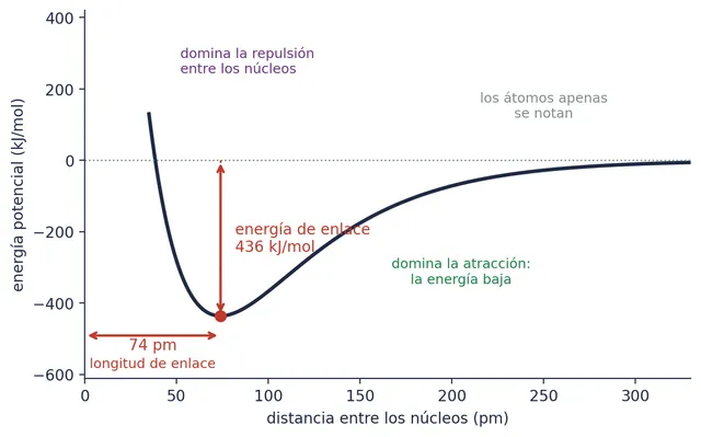 La energía de dos átomos de hidrógeno según la distancia entre sus núcleos. Lejos, cero; al acercarse, baja; muy cerca, se dispara. El mínimo es el enlace: a 74 pm y 436 kJ/mol por debajo del cero